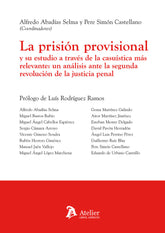 PRISION PROVISIONAL Y SU ESTUDIO A TRAVES DE LA CASUISTICA - 9788418244179